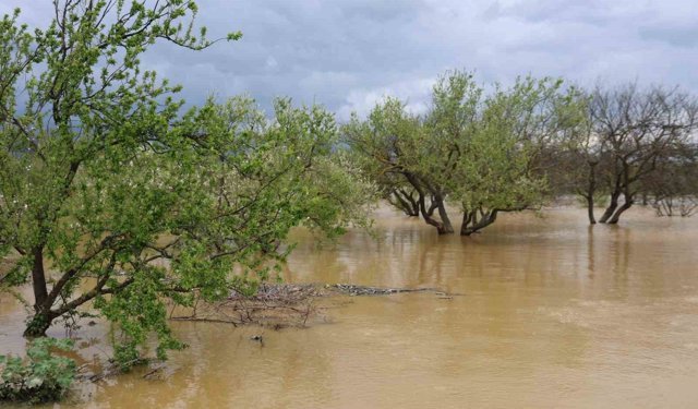 Sağanak yağış Menderes Nehri'ni taşırdı