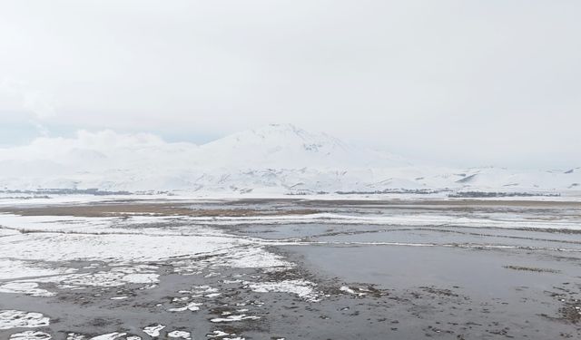 Sarısu sazlıkları ile Süphan Dağı'nın karlı zirvesi göz kamaştırıyor