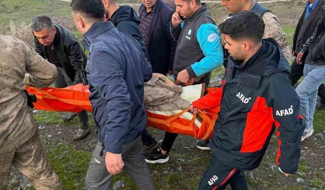 Siirt'te 3 yaşındaki kayıp çocuk sağ bulundu