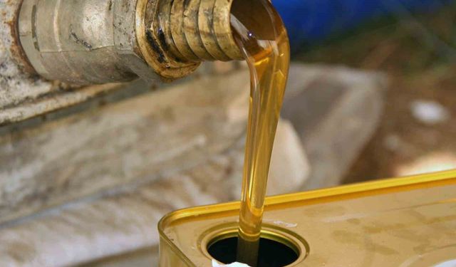 Türk çam balının dünya pazarındaki ekonomik payı arttırılacak