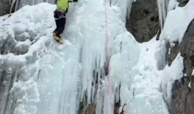 Uzundere'de buz tırmanışında ayı paniği