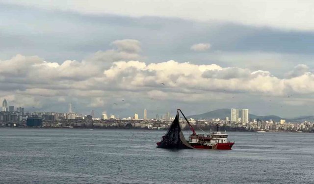 Av mevsiminin son gülerinde istavrit bolluğu