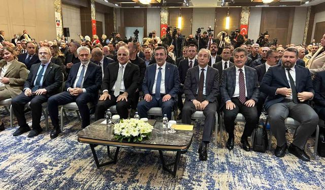 Cumhurbaşkanı Yardımcısı Yılmaz: ''Herkesin diline, üslubuna, yaklaşımına çok dikkat etmesi gereken bir süreçten geçtiğimizi de ifade etmek istiyorum''