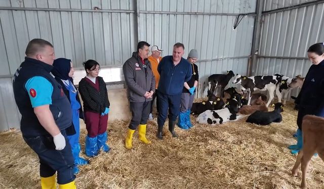 Doğum sonrası hataya yer yok: Üreticiye net reçete