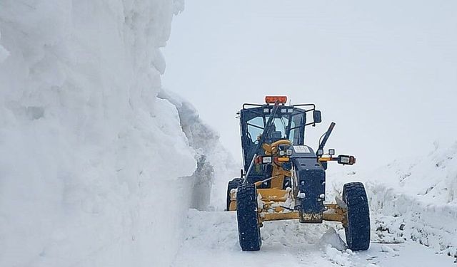 Erzurum'da karın görünmeyen iki yüzü