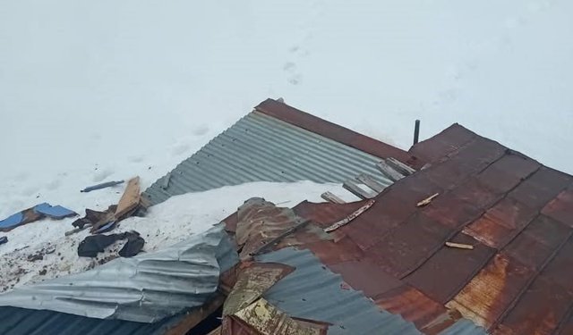 Gümüşhane yaylalarında ayı dehşeti devam ediyor