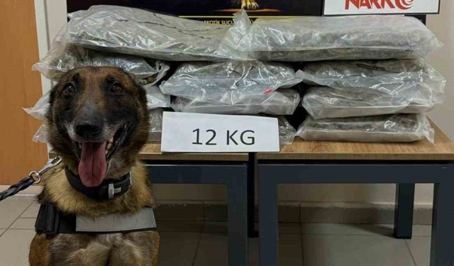 İstanbul'dan Ankara'ya uyuşturucu götürüyordu, Düzce'de yakalandı