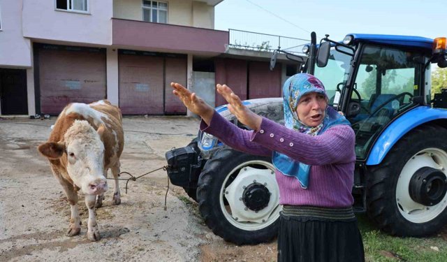 Kozan'daki selde hayvanları telef olan kadın: 'Bir anda sel geldi, ahırın üstünü aştı'