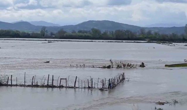 Meriç Nehri taştı, sular yollara ulaştı