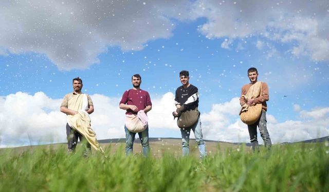 Muş'ta çiftçiler tarlaya indi: Gübreler imece usulü ile serpildi