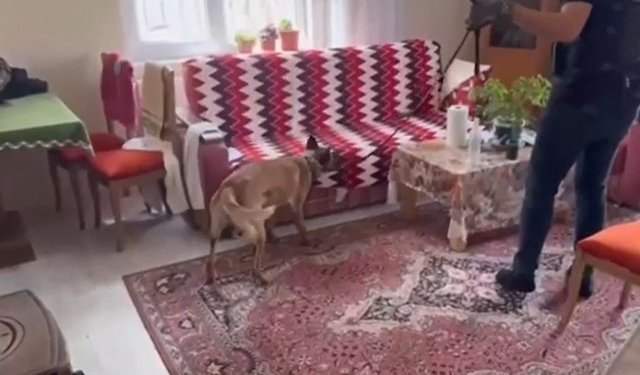 Silah tacirlerine operasyon: Çok sayıda silah ve uyuşturucu ele geçirildi