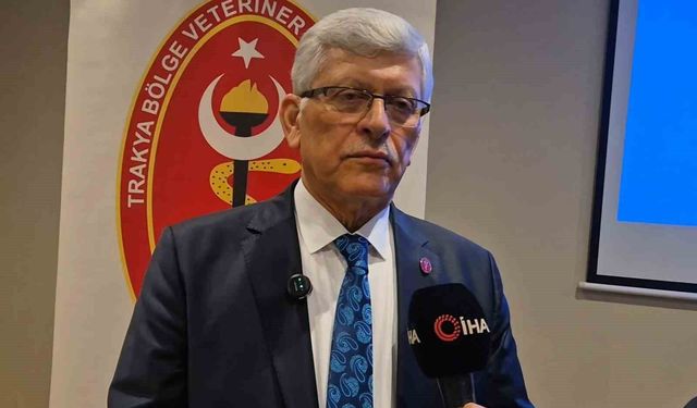 Tekirdağ'dan kritik çağrı: 'Belediyelerde veteriner hekim açığı giderilmeli'