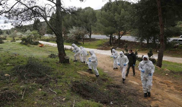 Terminatör böcekler iş başında