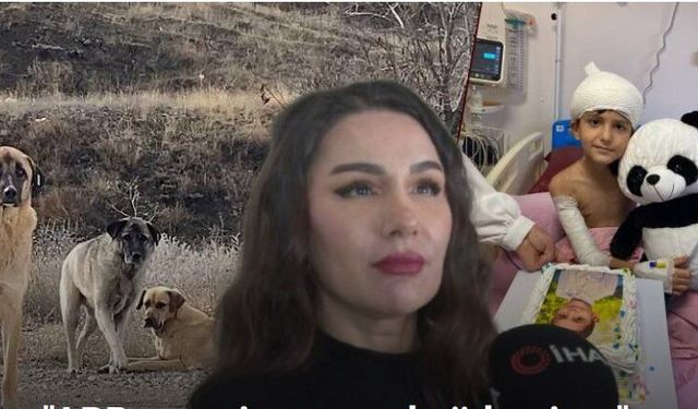 Köpek Saldırısında Yaralanan Tunahan’ın Ailesi İcra Yoluna Başvurdu