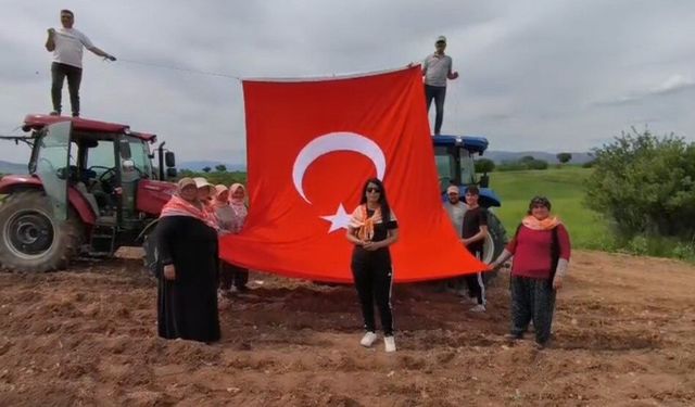 19 Mayıs'ı kekik ektikleri tarlada kutladılar