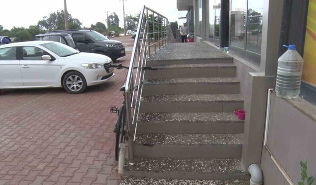 Antalya'da yabancı uyruklu şahıs kedinin üzerine bastı, köpeği tekmeledi