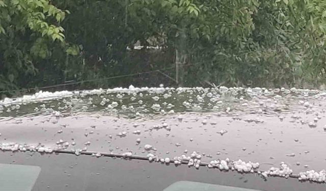Bingöl'de dolu yağışı etkili oldu