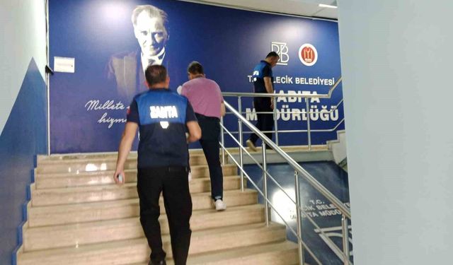 Bu da 'yeni nesil' dilencilik, kapı kapı dolaşarak nakit ya da IBAN numaralarına para istiyorlar