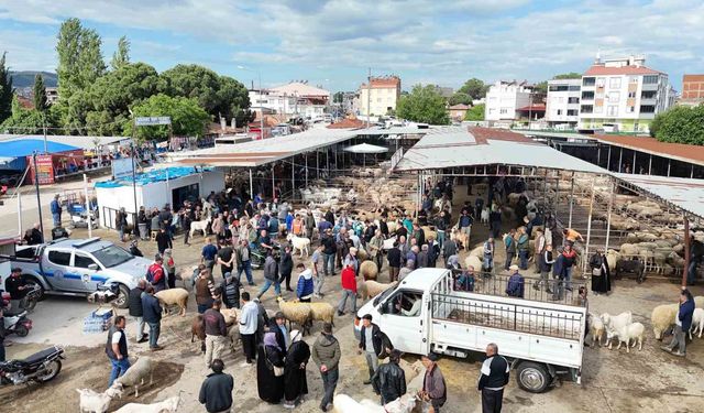 Havran Hayvan Pazarı'nda tarihi arefe yoğunluğu