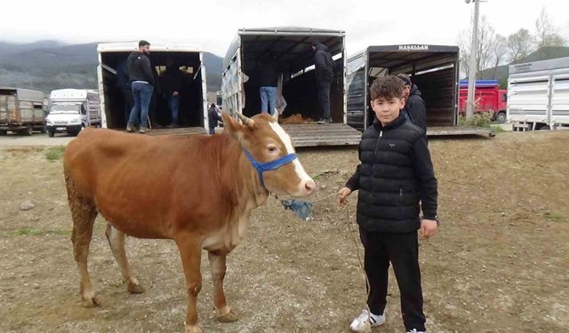 Hayvan pazarının en küçük celepçisi kurbanlık satıyor