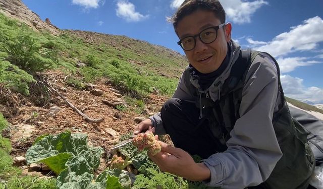 Japonya'dan Yüksekova'ya uzanan doğa yolculuğu