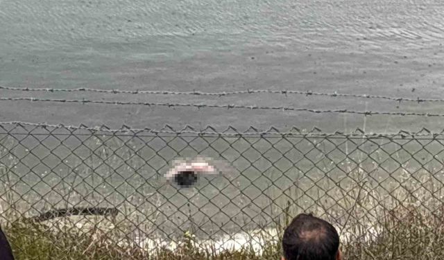 Kayıp zihinsel engelli şahıs gölette ölü bulundu