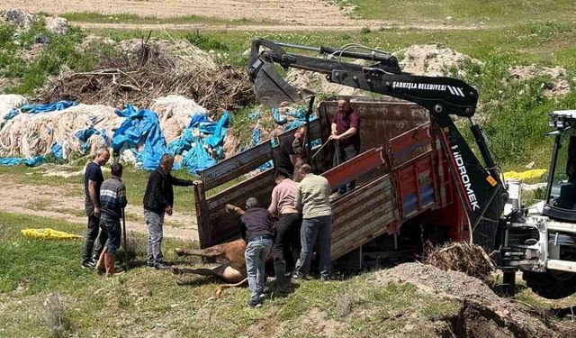 Kesime bir gün kala ortalığı birbirine kattı, 4 saat sonra yakalandı