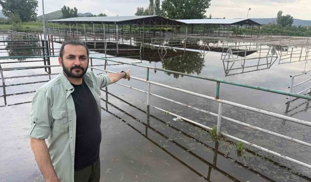 Turhal'da hayvan pazarı sular altında kaldı