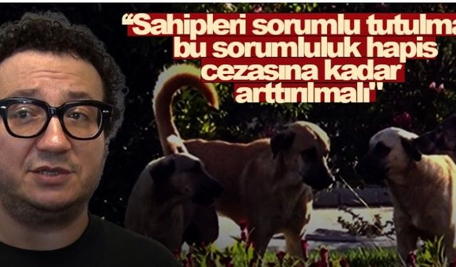 Oytun Erbaş: Köpek Sahiplerine Hapis Cezasına Kadar Sorumluluk Getirilmeli