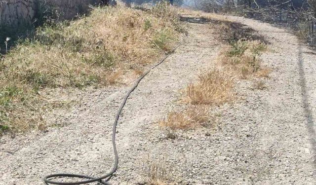 Ayvacık'ta bir evin bahçesinde çıkan yangın büyümeden söndürüldü