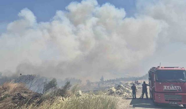 Balıkesir'deki orman yangını kontrol altına alındı