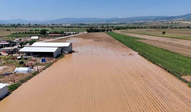 Bursa Yenişehir'de sel ve dolu felaketi