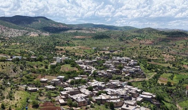 Gercüş'te bahar mesaisi: Şafak vaktiyle çiftçiler tarlalara akın ediyor