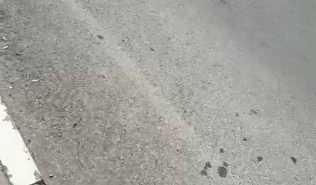 Kocaeli'de adliye önünde silahlı saldırıya uğrayan kişi yaralandı