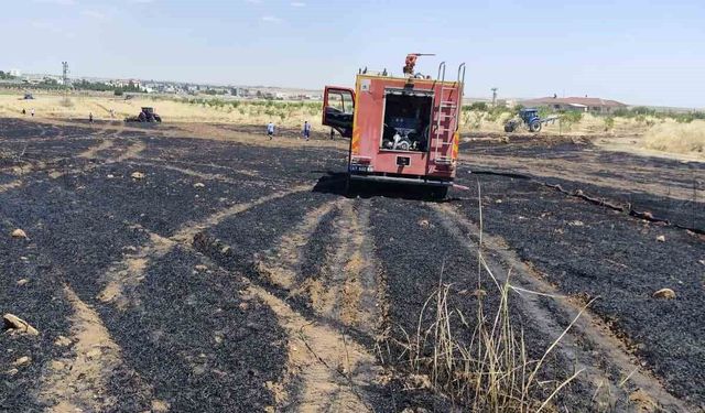 Mardin'de 40 dönüm buğday ekili alan yangında zarar gördü