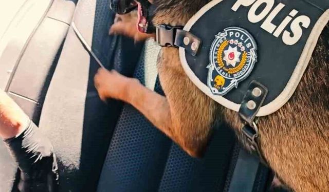 Muş'ta 60 kilogram uyuşturucu ele geçirildi