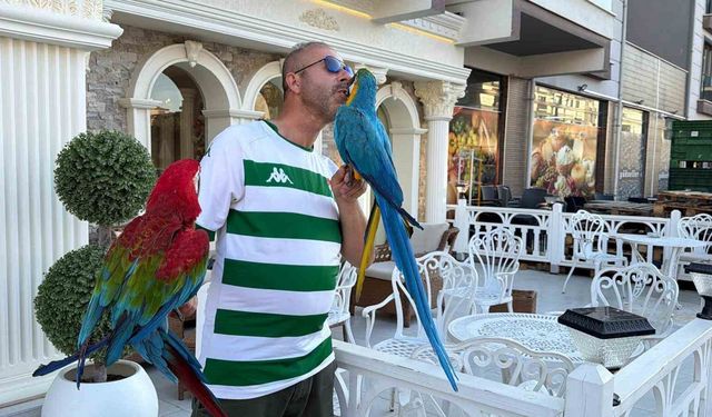 Onları görenler dönüp bir daha bakıyor