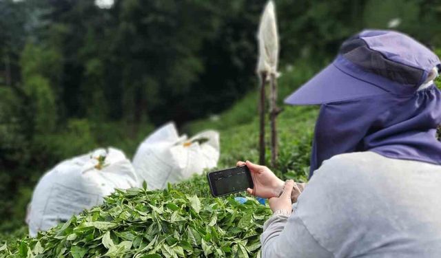 Rize'de çay bahçesinde milli maç heyecanı