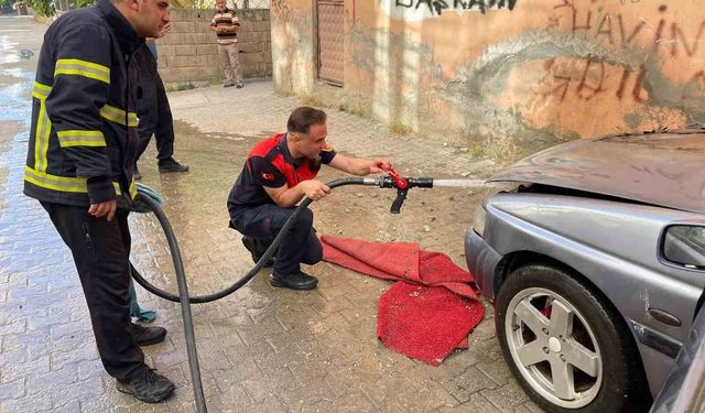 Siirt'te park halindeki otomobil alev aldı