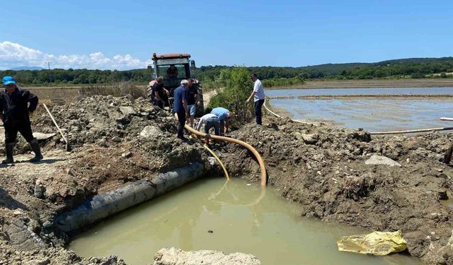 Sinop'ta sulama hattı patladı, çeltik üreticisi tepki gösterdi