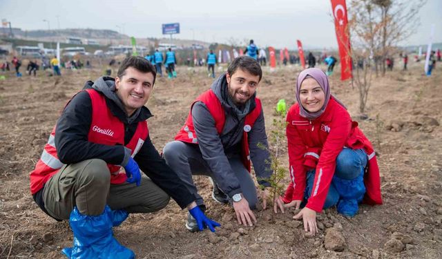 Türk Kızılay ve Tarım ve Orman Bakanlığı iş birliğinde 'Hastaya kan ormana can' projesi devam ediyor