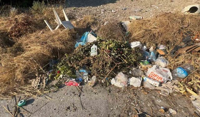 Yol kenarları çöple doldu, mahalleli isyan etti