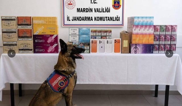 Mardin'de 2 Milyon Liralık Kaçak Tütün ve Sigara Ele Geçirildi