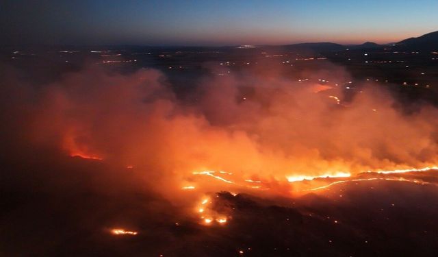 Adıyaman'da ormanlık alanda yangın