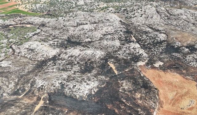 Adıyaman'daki orman yangını söndürüldü
