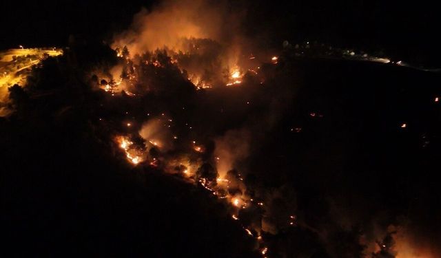 Adıyaman'daki orman yangınıyla ilgili bir şahıs tutuklandı