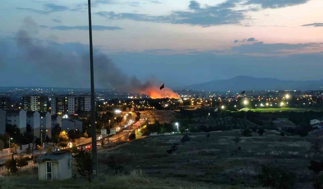 Ankara'da otluk arazide yangın