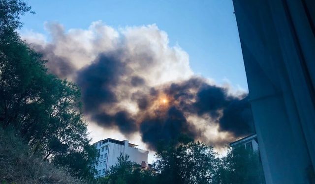 Bilecik'te ot yangını depoya sıçradı, faciadan dönüldü
