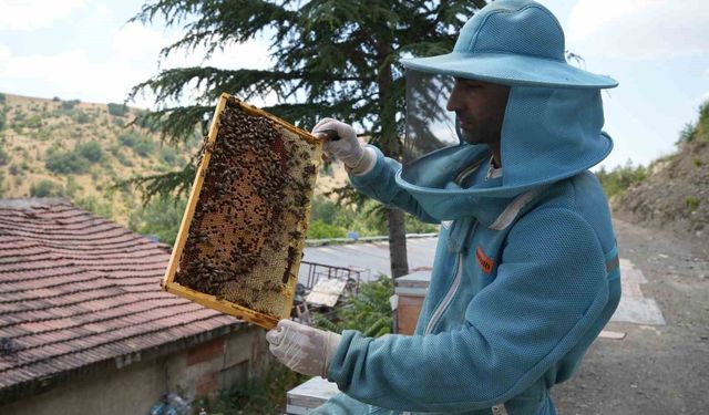Bin 200 çeşit endemik bitki türüyle 4 kuşaktır süren gelenek: Kanyon balında 4 tonluk rekolte