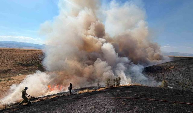 Bingöl'de arazi yangını: Bin dönüm buğday tarlası küle döndü